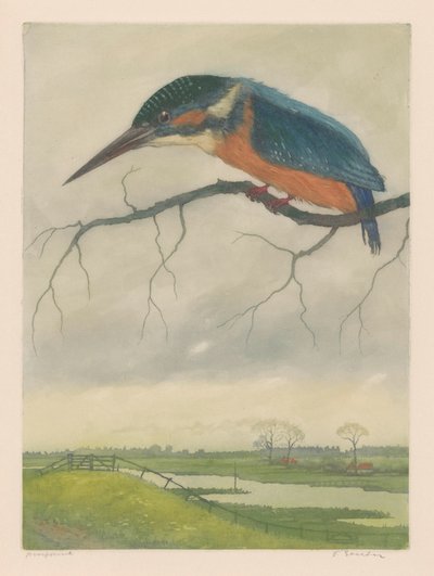 Kingfisher num ramo numa paisagem de prados de Frans Everbag (signed by artist)