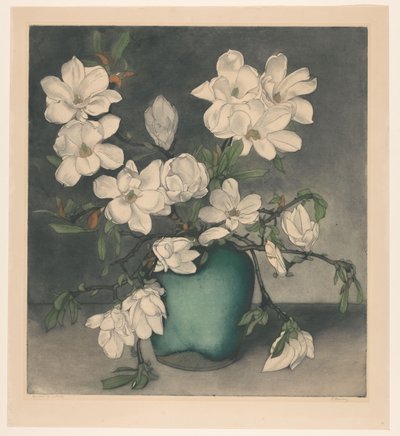 Magnoliatacken de Frans Everbag (signed by artist)