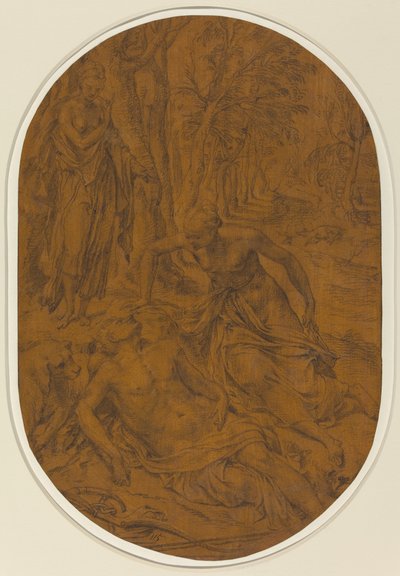 Diana e Endymion de Frans Floris I