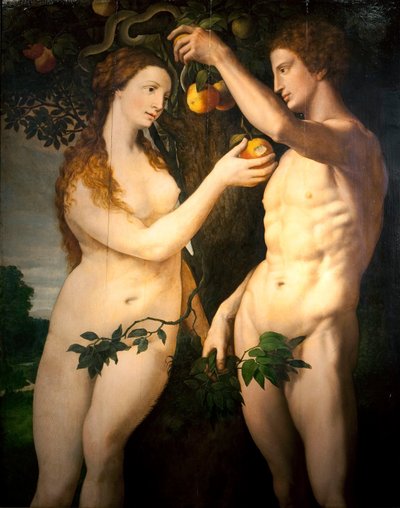 A queda do homem de Frans Floris I