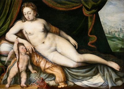 Vénus e Cupido de Frans Floris I