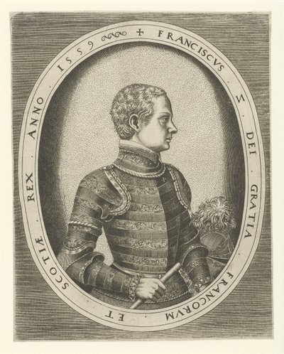 Retrato de Francisco II da França 1544-1560, 1559 de Frans Huys