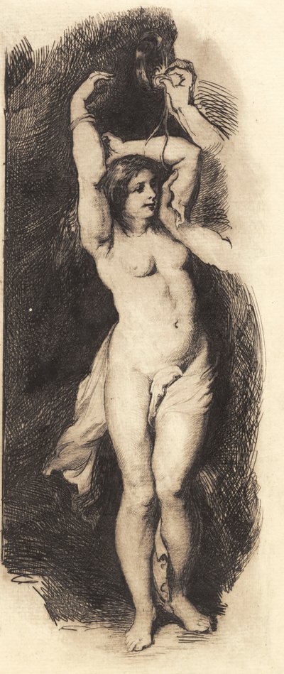 Andrômeda, depois de Rubens de Frans Schwartz