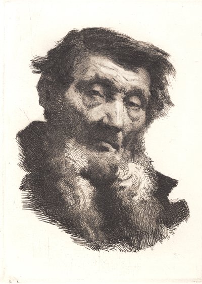 Velho com barba grisalha em duas partes de Frans Schwartz
