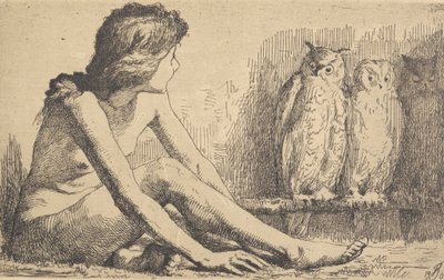 A menina das corujas de Frans Schwartz