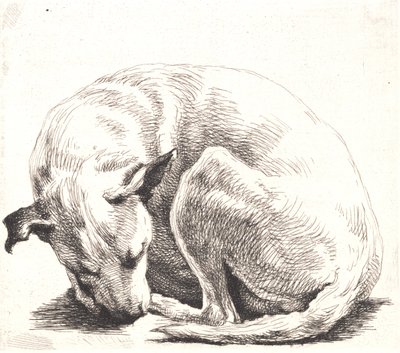 Prato de amostra: um cachorro de Frans Schwartz
