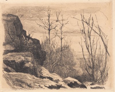 Prato de amostra: paisagem com pedras e árvores de Frans Schwartz