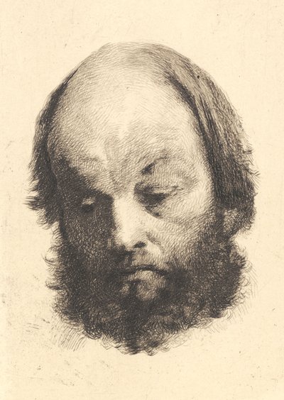 Homem Barba Negra, Garibaldi de Frans Schwartz