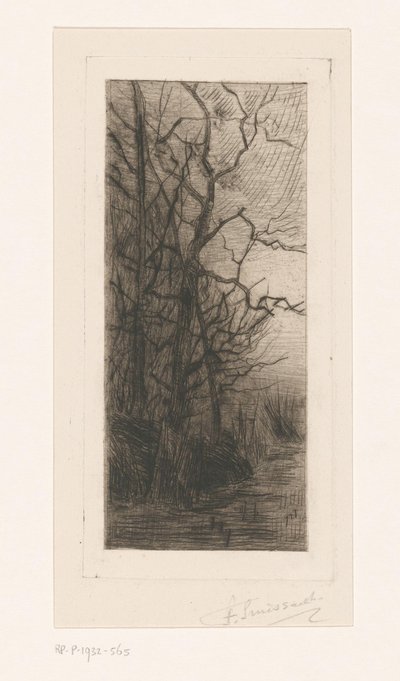 Árvores pela água de Frans Smissaert (signed by artist)