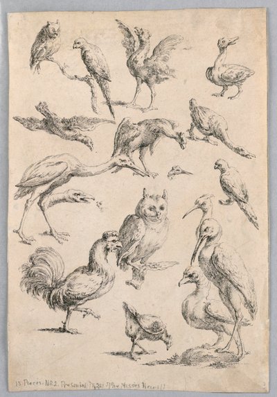 Sortimento de Aves, da "Coleção de diferentes estudos com animais..." de Frans Snyders