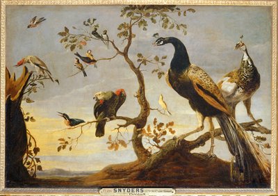 Poseaux sobre ramos ... de Frans Snyders