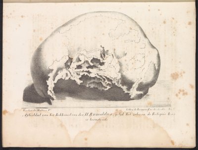 Crânio de São Rumoldus, 1825
Imagem do osso pélvico de São Rumoldus como no Baú Relíquico (título sobre o objecto) de Frans Vervloet