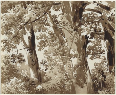 Árvores com vegetação rasteira densa de Franz Innocenz Josef Kobell