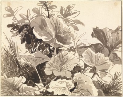 Estudo das folhas de Coltsfoot de Franz Innocenz Kobell