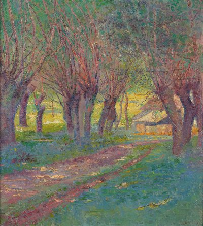 Salgueiros Pollard em Weyer de Franz Jaschke