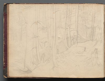 Álbum com Vistas de Roma e Arredores, Estudos Paisagísticos, página 01b: Paisagem Romana. de Franz Johann Heinrich Nadorp