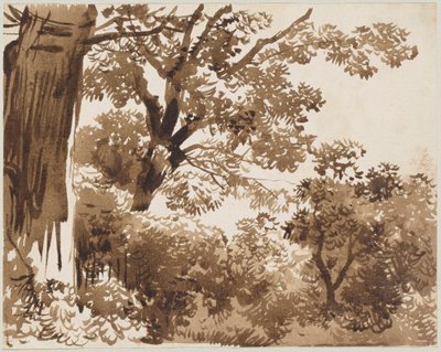 Na floresta de Franz Kobell