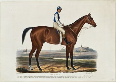 Ganges de Franz Krüger