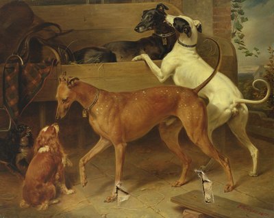 Cães Krugers, 1855 de Franz Krüger