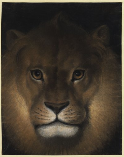 Cabeça de leão de Franz Krüger