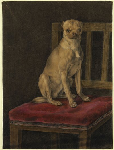Cão pug de Franz Krüger