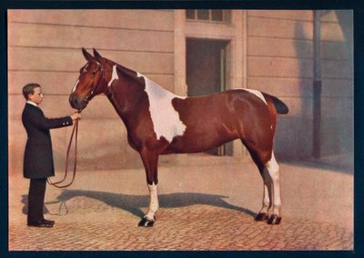Uma fotografia de um cavalo tirada com uma lente Zeiss Tessar, c1908 de Franz Kuhn
