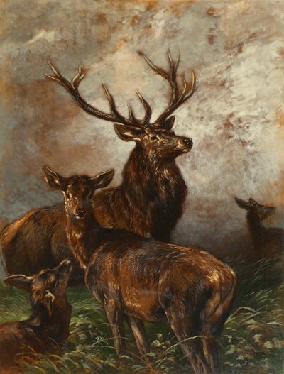 Veados e corças de Franz Xaver von Pausinger