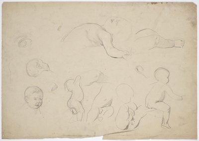 Estudos dos netos de Franz von Matsch