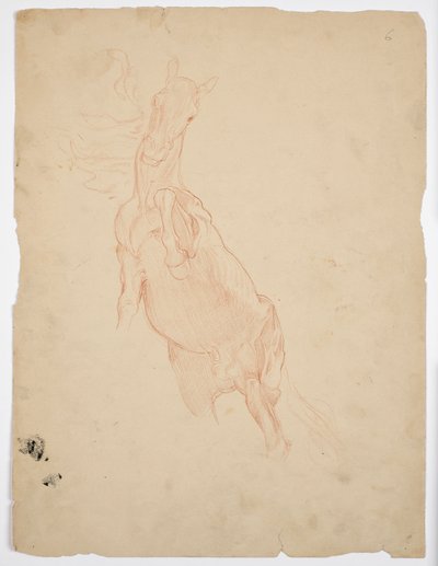 Estudos de um Cavalo em Ascensão de Franz von Matsch
