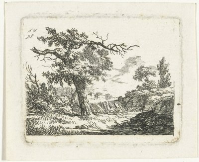 Paisagem com árvore com dois galhos mortos de Frédéric Théodore Faber