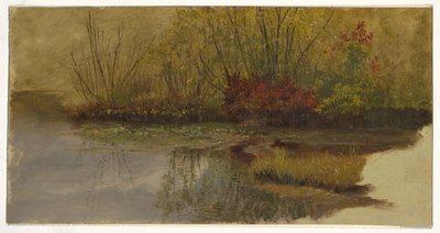 Um canto de uma lagoa de Frederic Edwin Church