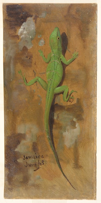 Um lagarto, Jamaica de Frederic Edwin Church