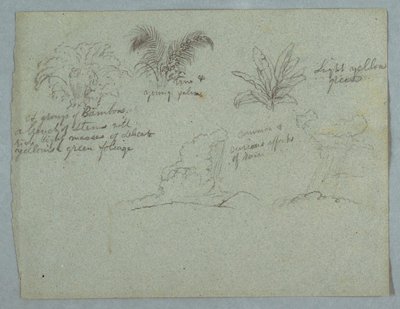 Bambus, videira e uma jovem palmeira, planta e duas cenas de chuva caindo das nuvens sobre cumes, Rio Magdalena, Colômbia de Frederic Edwin Church