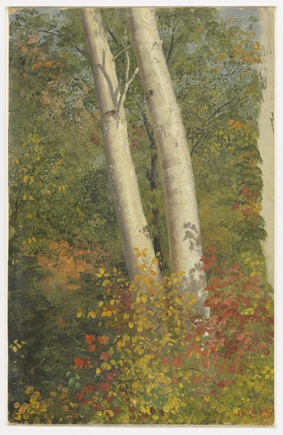 Bétulas no outono de Frederic Edwin Church