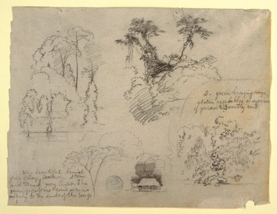 Estudos Botânicos e uma Casa, provavelmente da Colômbia de Frederic Edwin Church