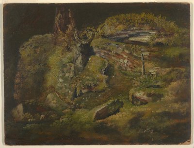Pedregulho na floresta de Frederic Edwin Church