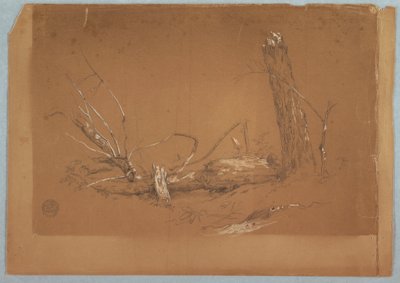 Desenho, Uma árvore morta partida, 1855-65 de Frederic Edwin Church
