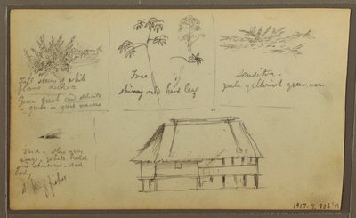 Desenho, Um Forte; Verso: Esboços Botânicos, Casa, 1857 de Frederic Edwin Church