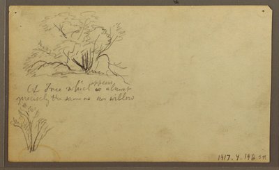Desenho, Uma cabana nos postes, Guayaquil, Equador, maio de 1857 de Frederic Edwin Church