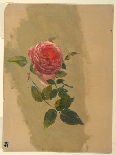 Desenho, Um ramo de rosa, 1860-70 de Frederic Edwin Church