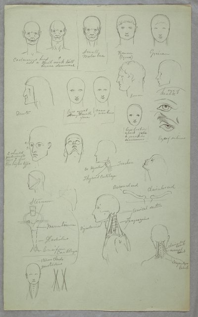 Desenho, Estudos Anatómicos, 1865-70 de Frederic Edwin Church
