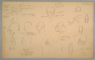 Desenho, Estudos Anatómicos, 1865-70 de Frederic Edwin Church