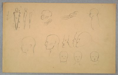 Desenho, Estudos Anatómicos, 1865-70 de Frederic Edwin Church