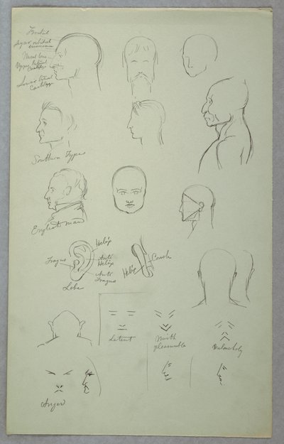 Desenho, Estudos Anatómicos, 1865-70 de Frederic Edwin Church