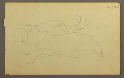 Desenho, Base de uma árvore, pedregulhos, 1844 de Frederic Edwin Church