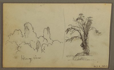 Desenho, Bireds, "Rock in Panama Bay"; Verso: "Heavy Vines", 15 de maio de 1857 de Frederic Edwin Church