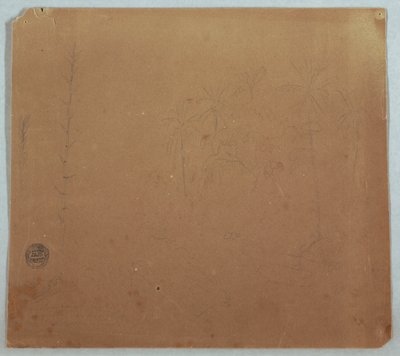 Desenho, esboços botânicos, possivelmente bambus, palmeiras e arbustos, Equador ou Colômbia, 1853 ou 1857 de Frederic Edwin Church