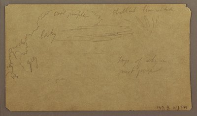 Desenho, Esboços Botânicos; Verso: Nuvens, julho de 1865 de Frederic Edwin Church