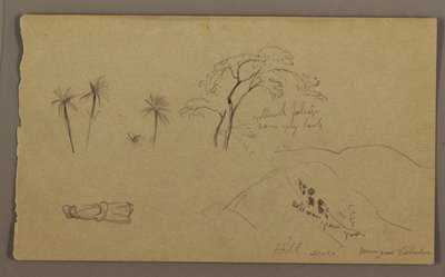 Desenho, esboços botânicos, figura, maio-agosto de 1865 de Frederic Edwin Church