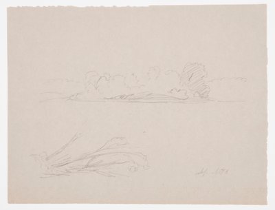 Desenho, Esboços botânicos: paisagem, árvores numa margem, setembro de 1876 de Frederic Edwin Church